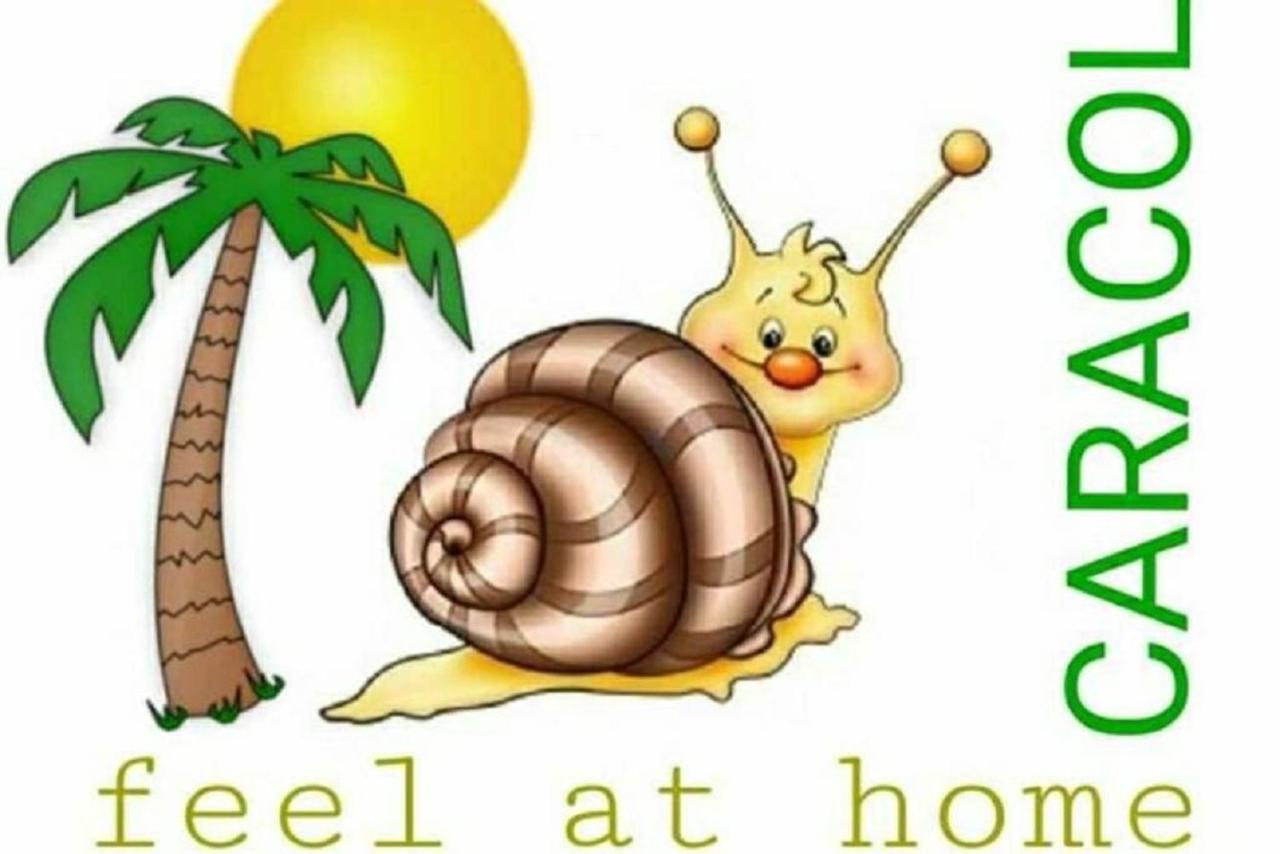 Apartment Caracol بلايا ديل إنغلز المظهر الخارجي الصورة